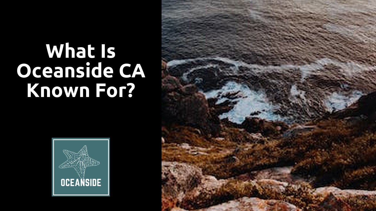 What is Oceanside CA known for?